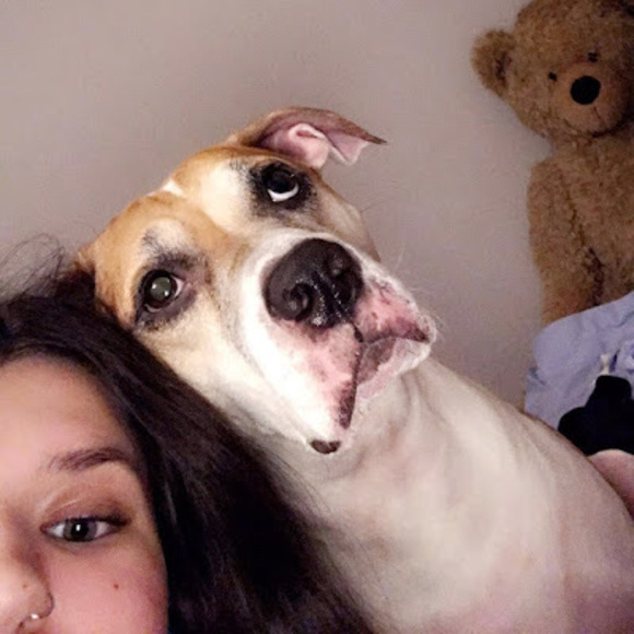 samz04_